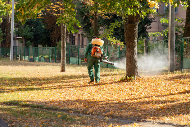 Best Rat Extermination Near Me  in Forest Hills, MI