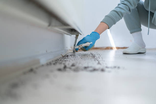 Best Commercial Pest Control Services  in Forest Hills, MI